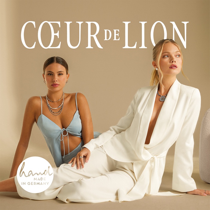coeur-de-lion-img-q-13